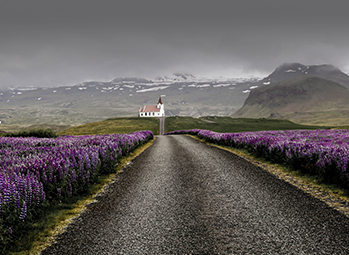 landscape-tree-horizon-mountain-cloud-plant-1410556-pxhere